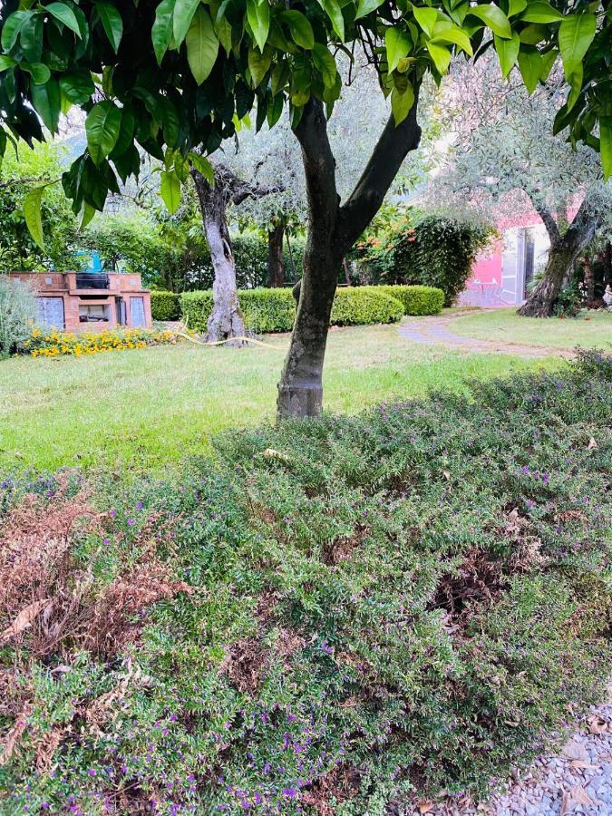 Cali-Formia B&B Extérieur photo