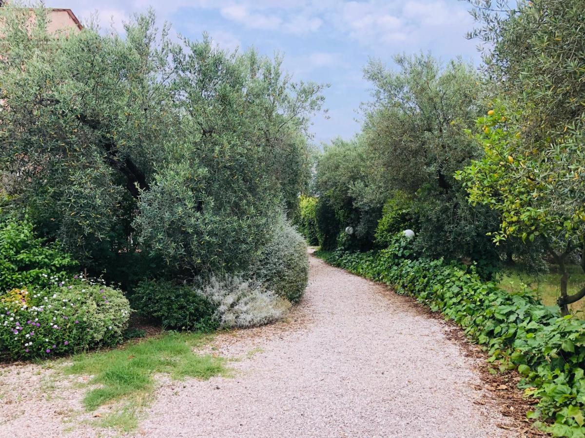 Cali-Formia B&B Extérieur photo